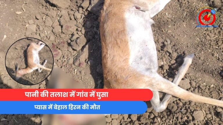 Bhopal News : प्यास में बेहाल हिरन की मौत....
