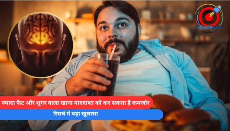 Healthy Lifestyle : ज्यादा फैट और शुगर वाला खाना याददाश्त को कर सकता है कमजोर, रिसर्च में बड़ा खुलासा