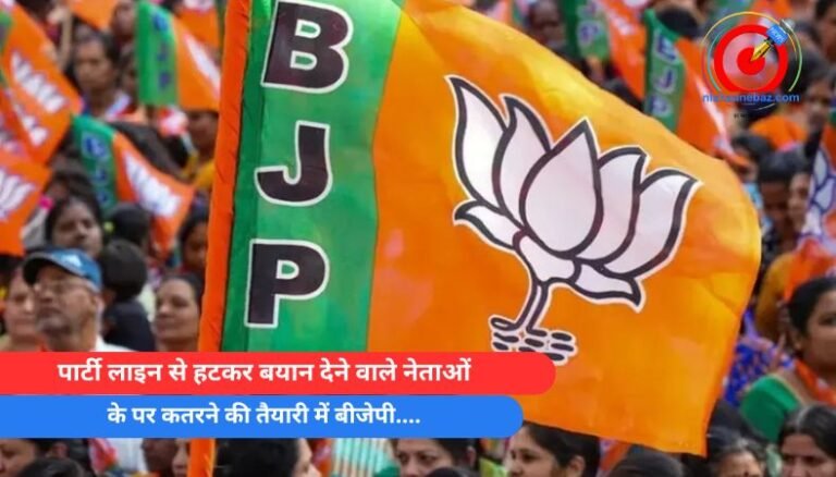 MP Politics