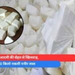 आम आदमी की सेहत से खिलवाड़, 1000 किलो नकली पनीर जब्त