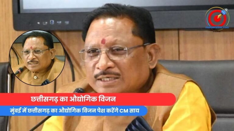 छत्तीसगढ़ का औद्योगिक विजन