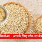 _दलिया या क्विनोआ – आपके लिए कौन-सा बेहतर विकल्प