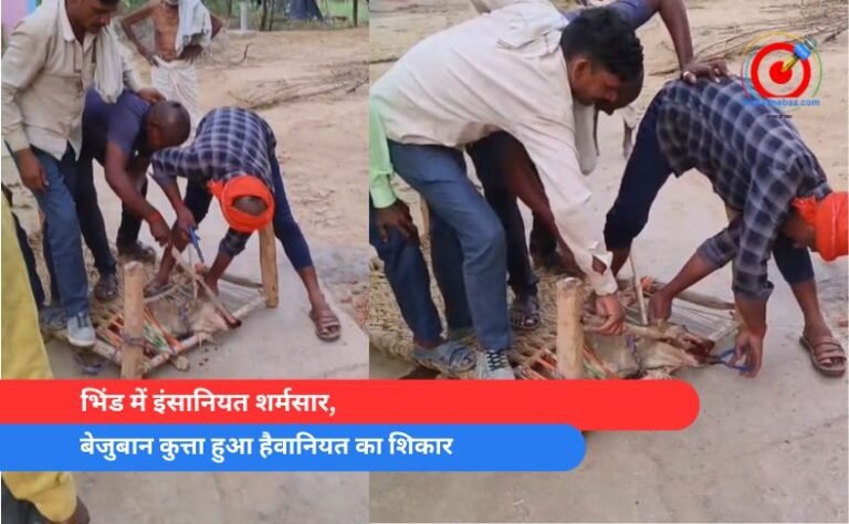 भिंड में इंसानियत शर्मसार, बेजुबान कुत्ता हुआ हैवानियत का शिकार