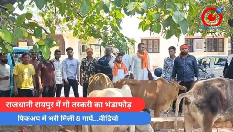 राजधानी रायपुर में गौ तस्करी का भंडाफोड़, पिकअप में भरी मिलीं 8 गायें…वीडियो