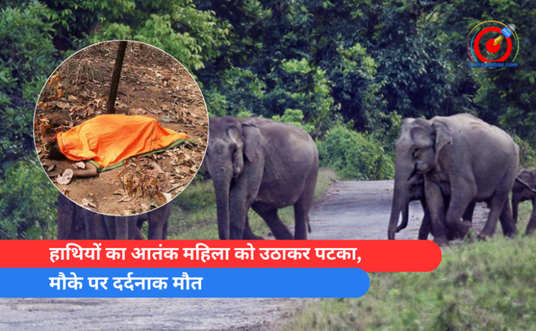 हाथियों का आतंक महिला को उठाकर पटका, मौके पर दर्दनाक मौत