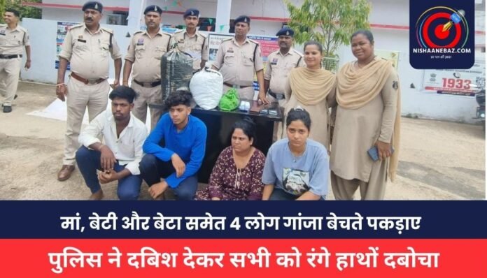CG News CG News
