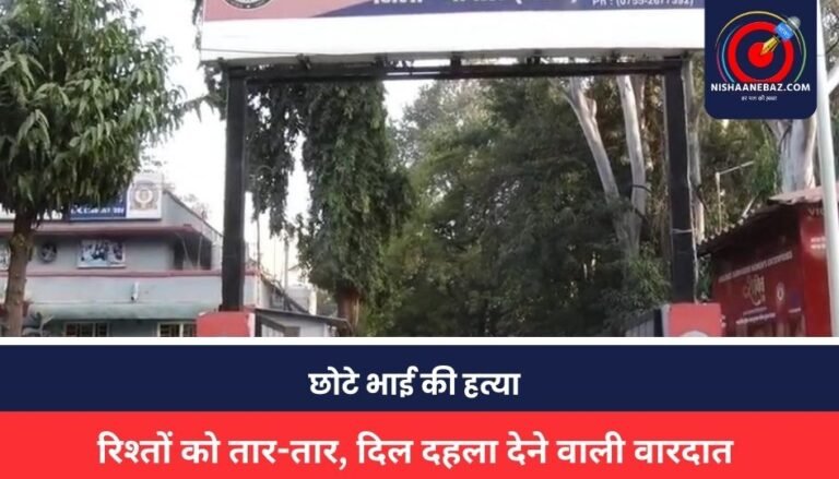 MP NEWS