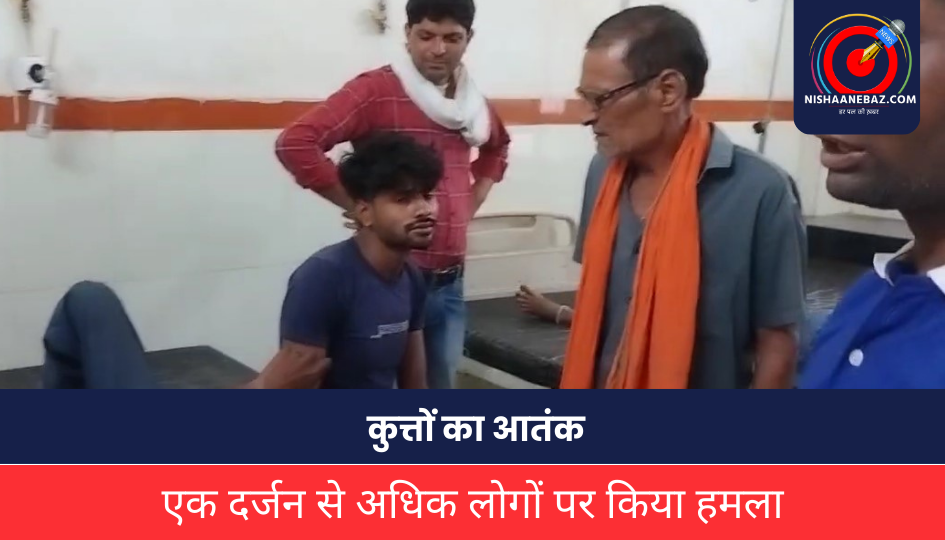 Morena News : कुत्तों का आतंक, एक दर्जन से अधिक लोगों पर किया हमला, फिर आक्रोशित ग्रामीणों ने उठाया ये कदम