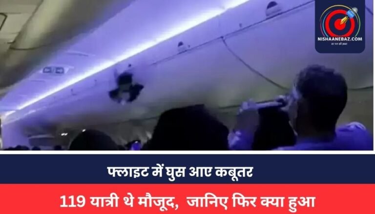 Airlines News: फ्लाइट में घुस आए कबूतर, 119 यात्री थे मौजूद, जानिए फिर क्या हुआ