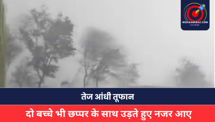 MP NEWS MP NEWS