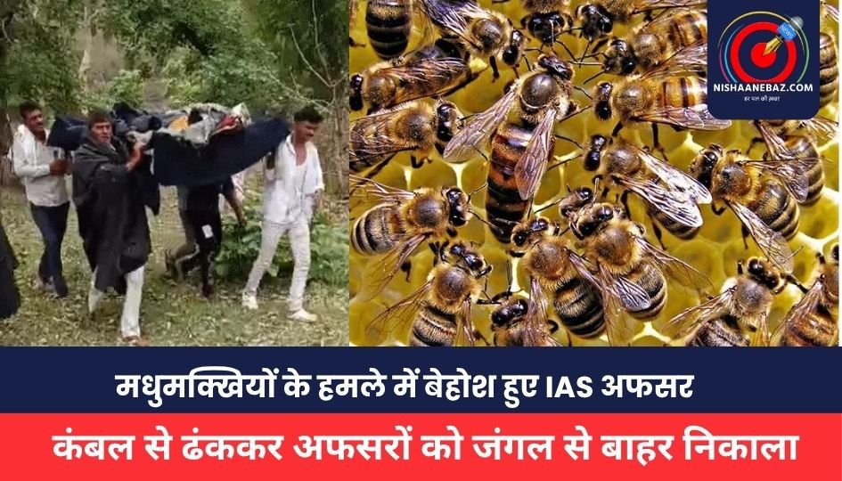 IAS NEWS