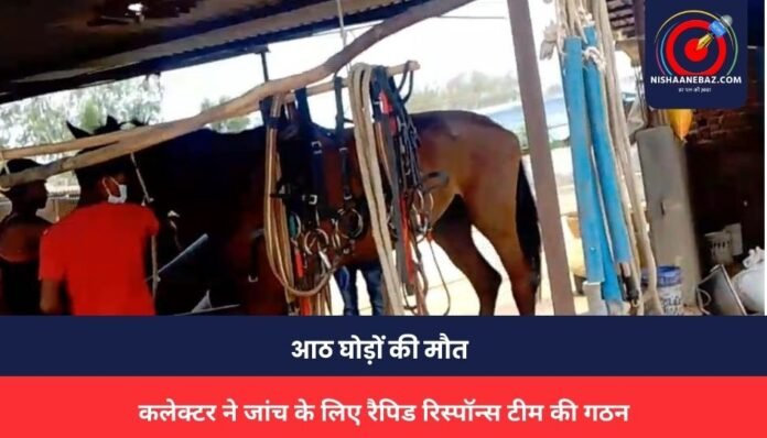 Jabalpur News Jabalpur News