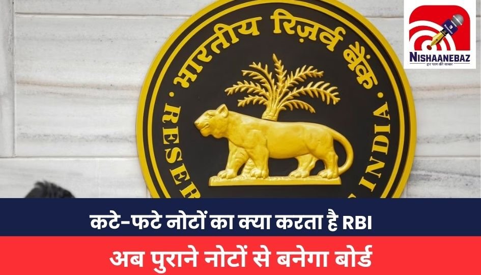 RBI Reports