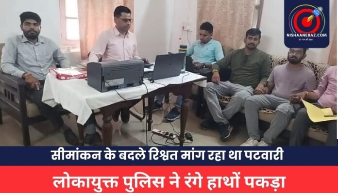 MP NEWS