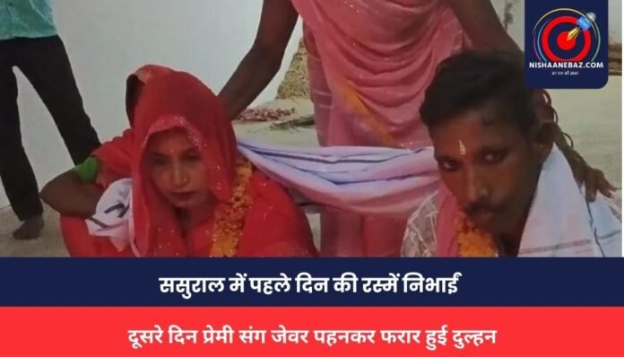 MP NEWS