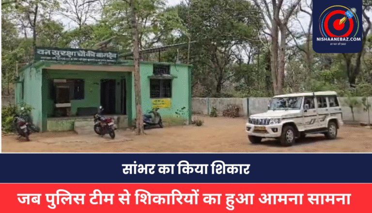 MP NEWS