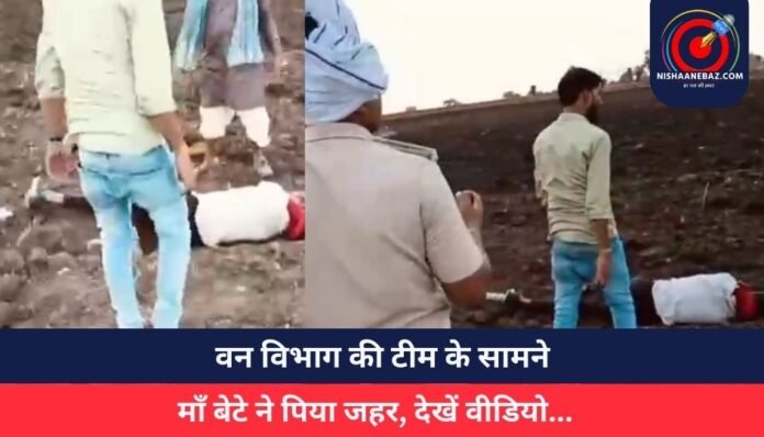 Bhopal News वन विभाग की टीम के सामने माँ बेटे ने पिया जहर, देखें वीडियो...