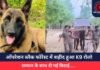 Sukma News : ऑपरेशन ब्लैक फॉरेस्ट में शहीद हुआ K9 रोलो, सम्मान के साथ दी गई विदाई…..