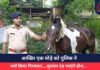 आखिर एक घोड़े को पुलिस ने क्यों किया गिरफ्तार….सुनकर उड़ जाएंगे होश…