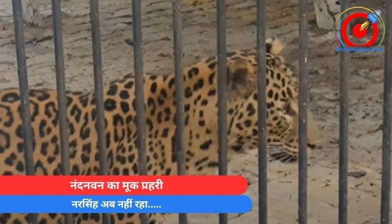 नंदनवन का मूक प्रहरी नरसिंह अब नहीं रहा…..