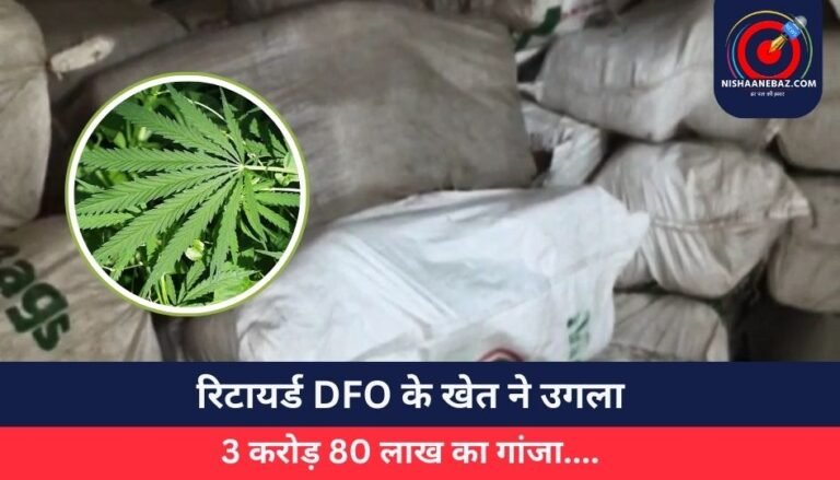 रिटायर्ड DFO के खेत ने उगला 3 करोड़ 80 लाख का गांजा….
