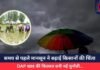 Monsoon 2025 : समय से पहले मानसून ने बढ़ाई किसानों की चिंता, DAP खाद की किल्लत बनी नई चुनौती…