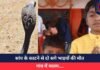 Ambikapur News : सांप के काटने से दो सगे भाइयों की मौत, गांव में मातम….