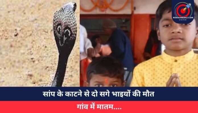 सांप के काटने से दो सगे भाइयों की मौत