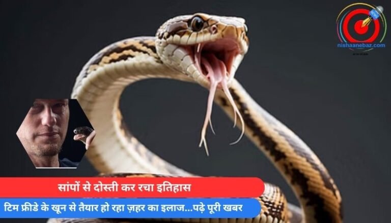 सांपों से दोस्ती कर रचा इतिहास : टिम फ्रीडे के खून से तैयार हो रहा ज़हर का इलाज…पढ़े पूरी खबर