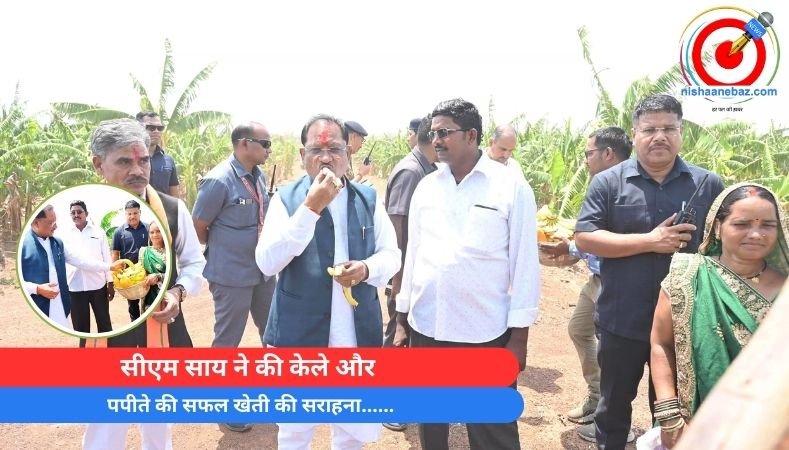 सीएम साय ने की केले और पपीते की सफल खेती की सराहना……