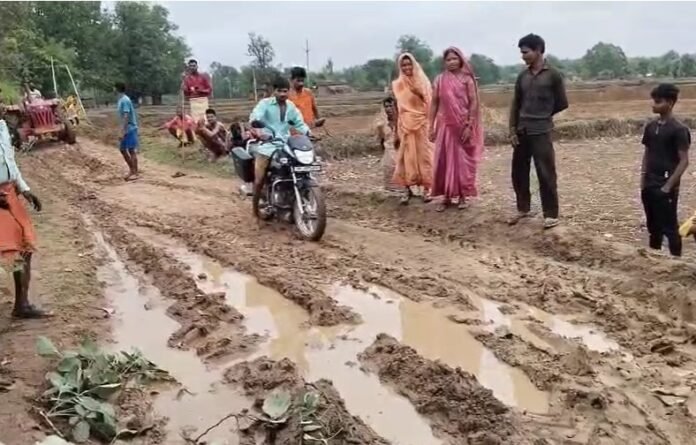 Shahdol News : Shahdol News :