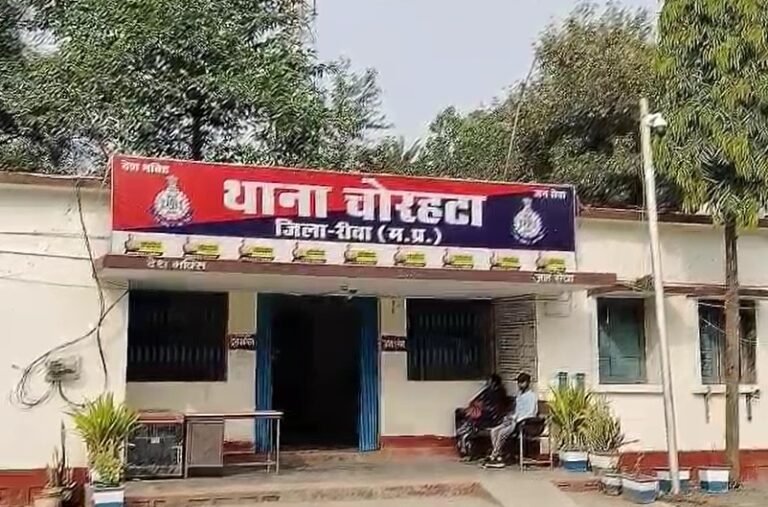 MP NEWS