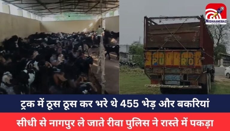 MP NEWS