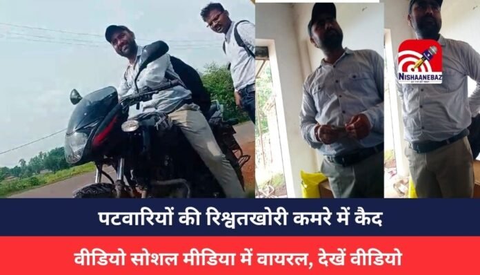 MP NEWS MP NEWS