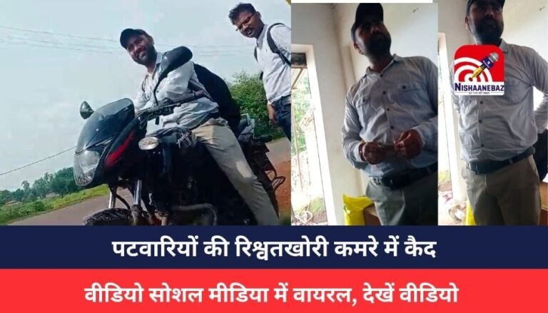 MP NEWS