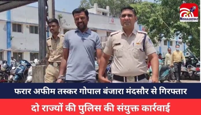 MP NEWS MP NEWS