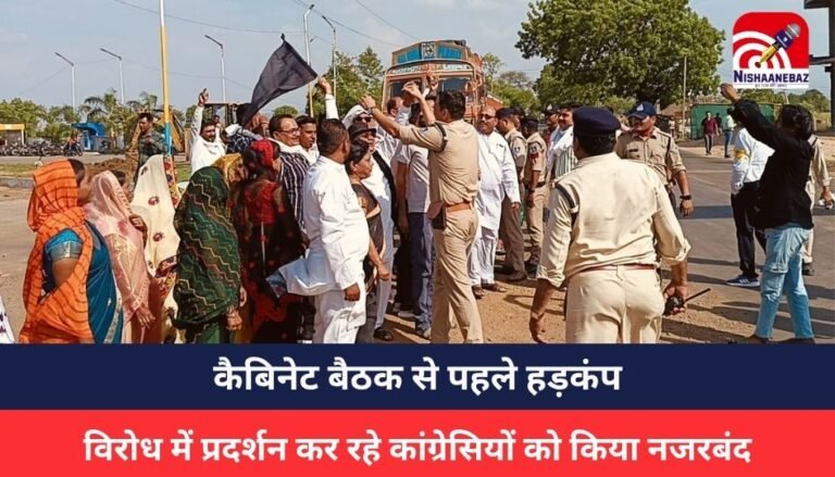 MP Politics