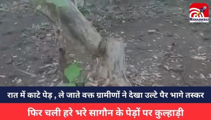 MP NEWS MP NEWS
