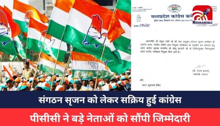 MP NEWS