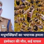 Ujjain Breaking: