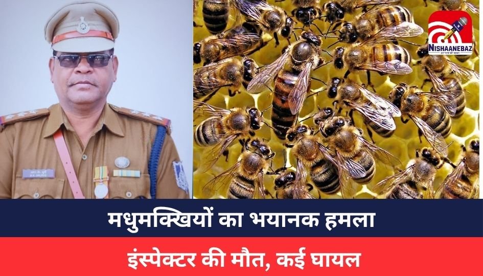 Ujjain Breaking:
