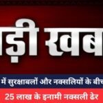 Bijapur News