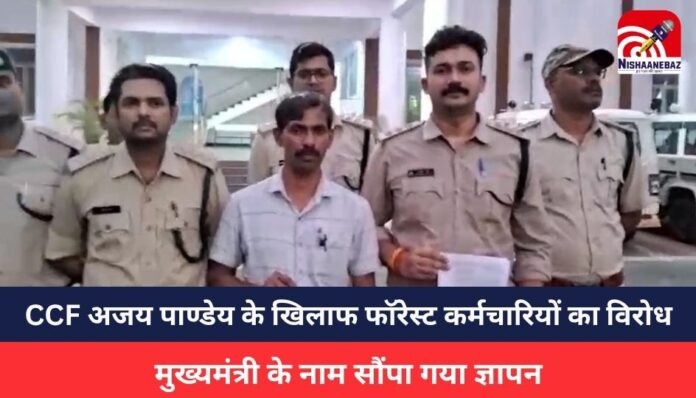 Shahdol News Shahdol News