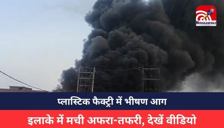 MP NEWS