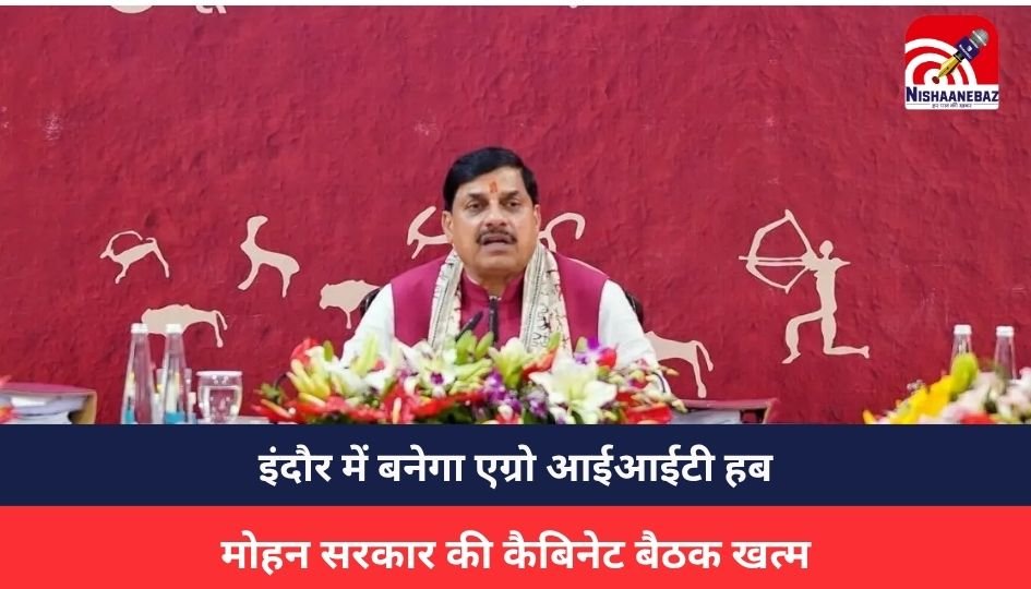 MP NEWS