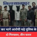 Shajapur News: