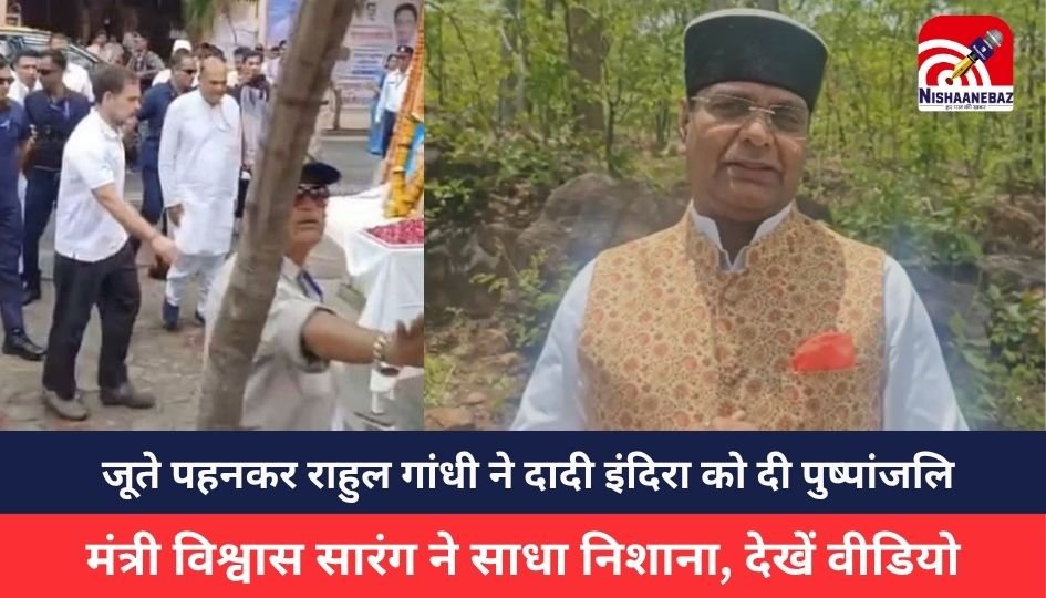 MP News