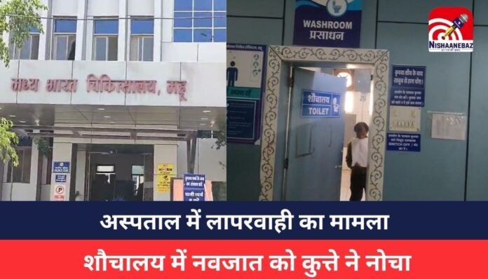 indore News : indore News :