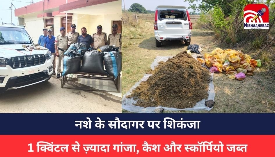 MP NEWS