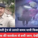 MP NEWS